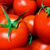 知らなきゃ損!トマトの大量消費術と使える便利な保存テク